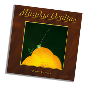 Miradas Ocultas Miradas Ocultas