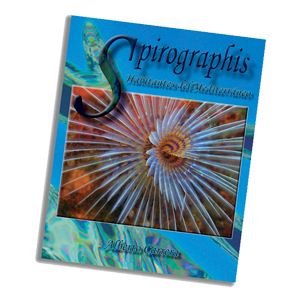 Spirographis